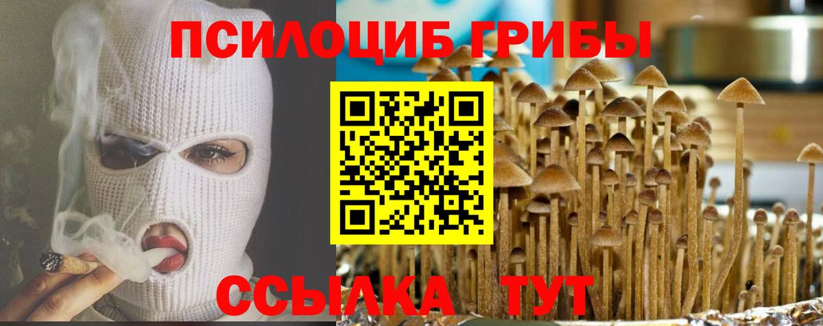 Галлюциногенные грибы MAGIC MUSHROOMS Железногорск